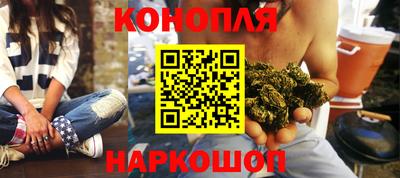 прущие крисы Кингисепп