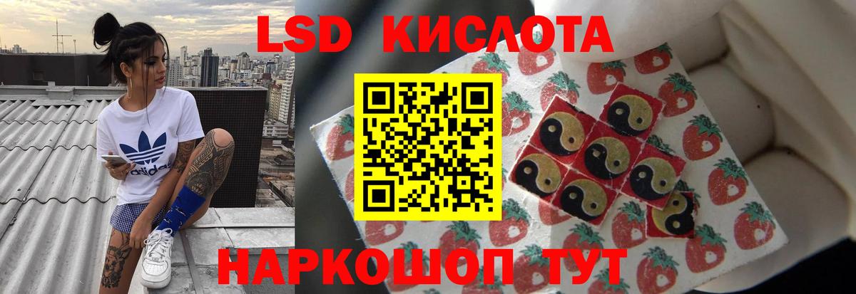 Лсд 25 экстази ecstasy  Вход с VPN  Каменка 