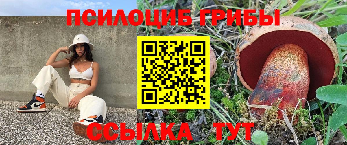 Псилоцибиновые грибы GOLDEN TEACHER Каменка
